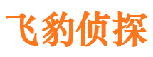 商河外遇出轨调查取证